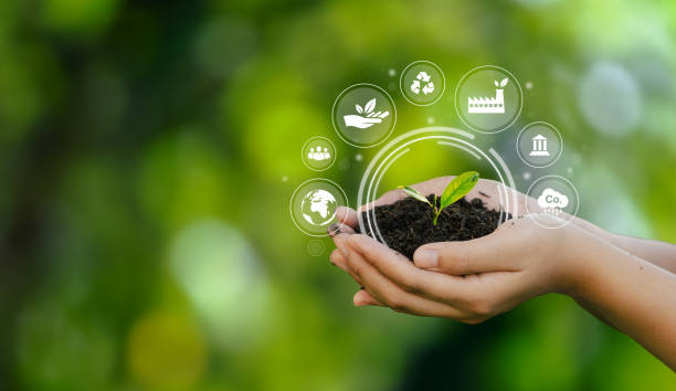 istockphoto-1392287714-612x612